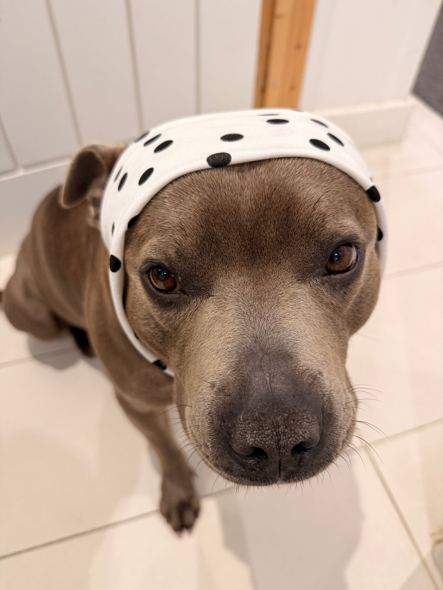 Headbands